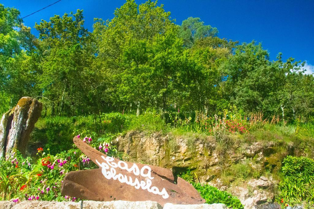 Casa De Chouselas Vilela エクステリア 写真