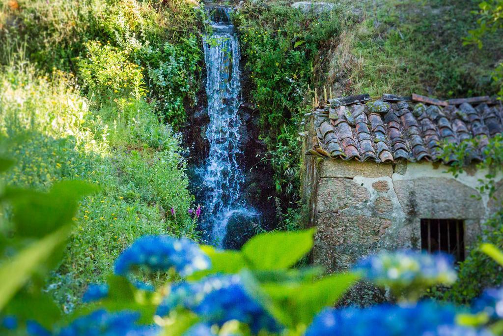 Casa De Chouselas Vilela エクステリア 写真